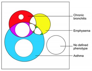 VennDiagram_copd